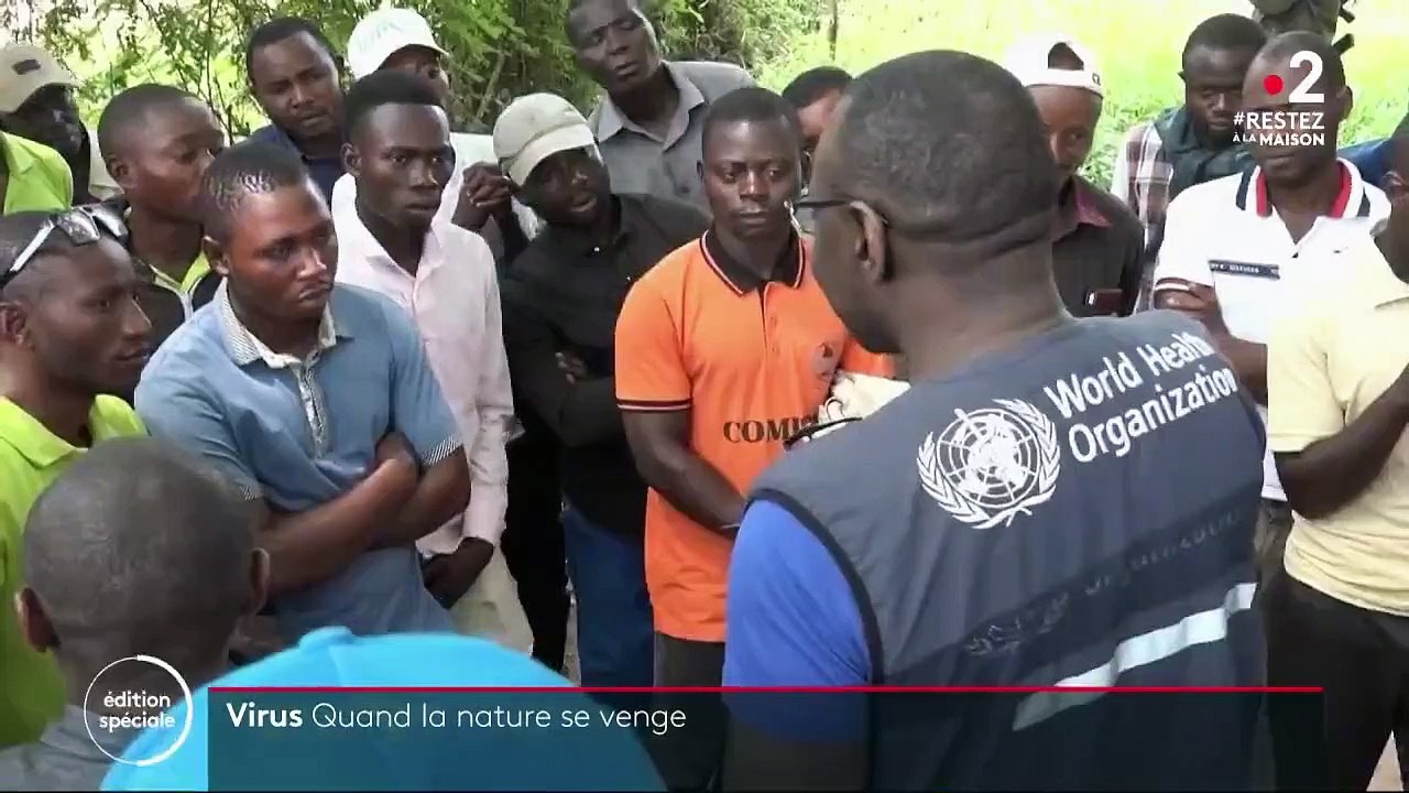 Les plus grands épidémies, toutes d’origines animales