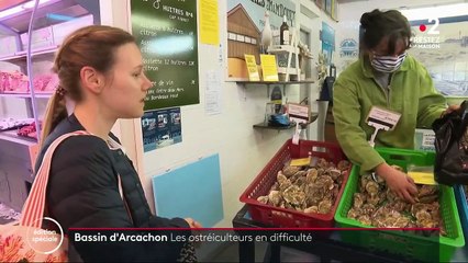 Confinement : les ostréiculteurs en souffrance