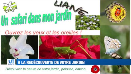 (Re)découvrez la nature près de chez vous !