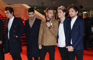 Liam Payne doesn't think Zayn Malik will reunite with 1D