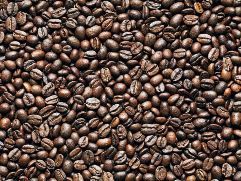 How to Store Coffee Beans So They Stay Fresh Longer