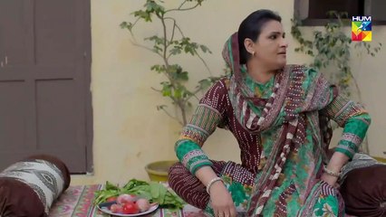 Wafa Kar Chalay Episode 84 HUM TV Drama 22 April 2020