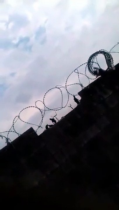 Penal de Florencio Varela