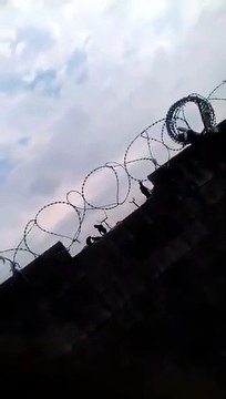 Penal de Florencio Varela