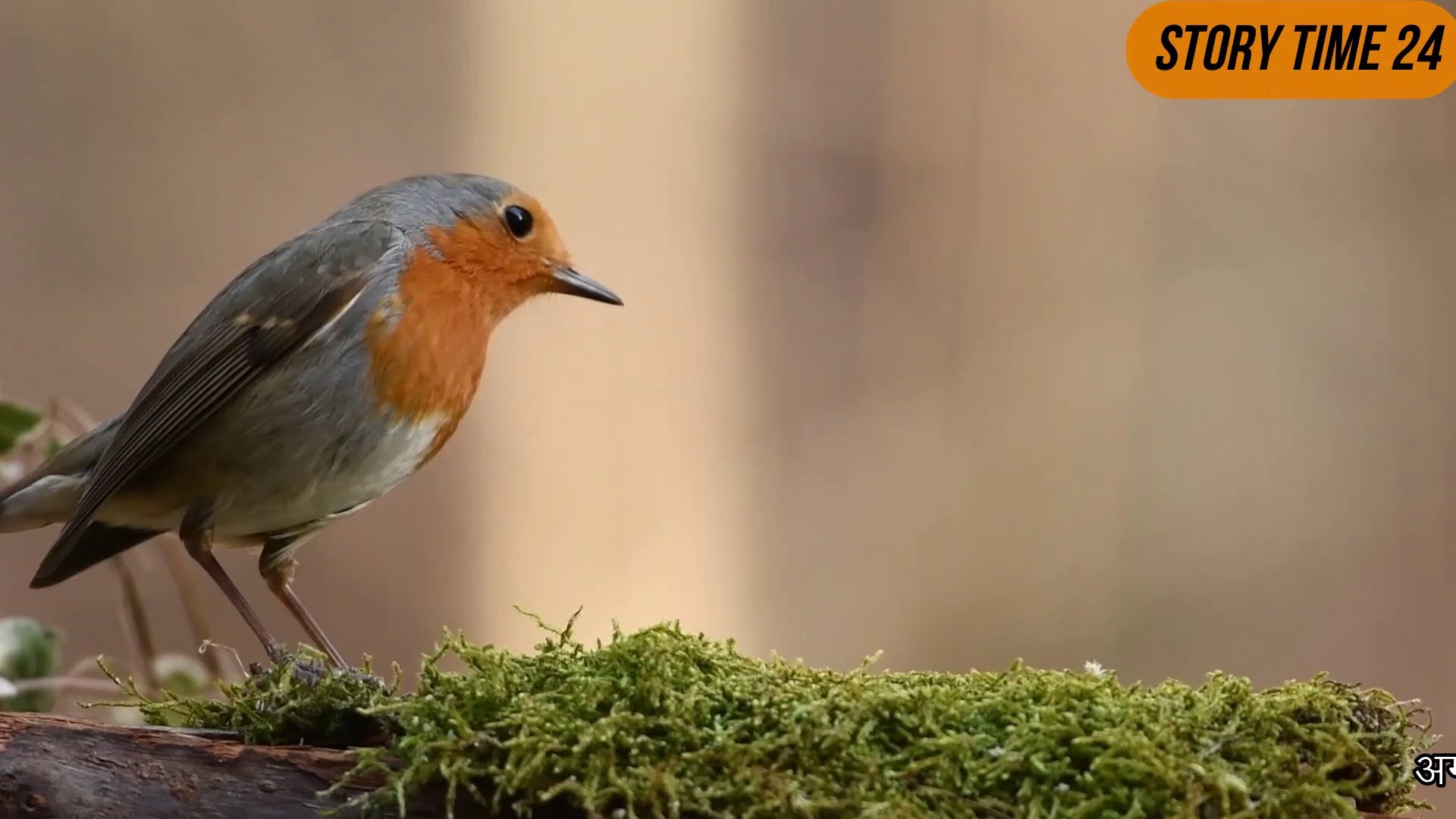 ⁣दिल को छु जाने वाली मशहूर कहानी | Motivational Hindi Story | New Story | Emotional Story | 2020 |