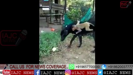 MOTHER LOVE VERY HARD TO DESCRIBE IN OUR LIFE