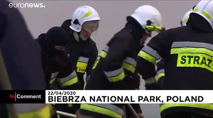 Pologne : le parc de Biebrza en proie aux flammes