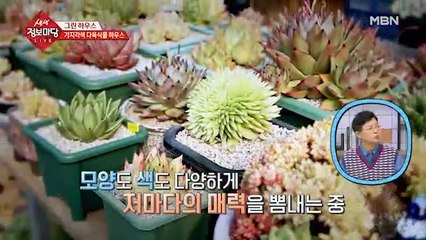 한 나무에서 두 가지 꽃이 핀다?!