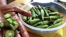 Bhindi ke fayde. (Okra health benefits) (1)