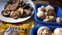 Mushrooms Loaded with Nutrition (Mushrooms ke chamatkari Fayede)in Hindi