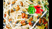 HUNDREDS Of LADYBUGS In Our Greenhouse Fun with Toys-