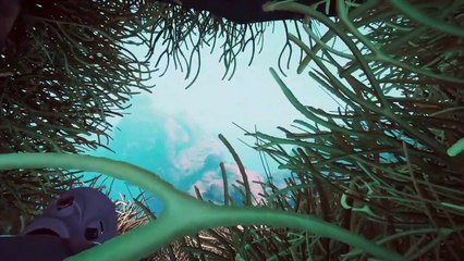 Beyond Blue - Trailer gameplay e data d'uscita