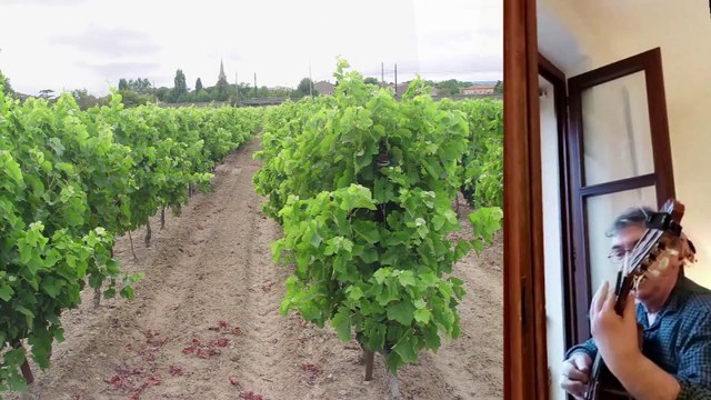 20200417 FENETRES OUVERTES Névian GENS DES CORBIÈRES*