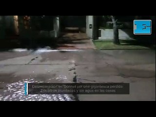 Desesperación en Gonnet por una gigantesca pérdida: 2 cuadras inundadas y sin agua en las casas