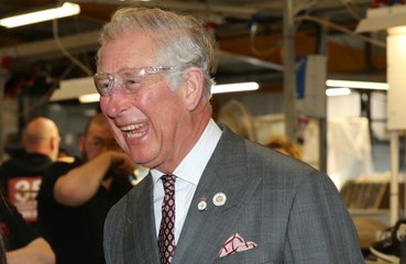 Prince Charles watching funny videos in isolation