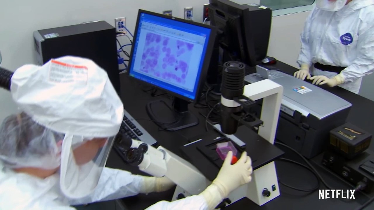 Coronavirus Explained