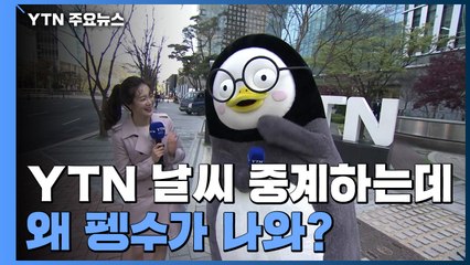 YTN에 나타난 펭수 "오늘 날씨를 제가 전해드리겠쯥니돠↗" (영상) / YTN