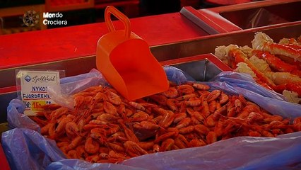 MONDO CROCIERA Episodio 11 - Parte 1