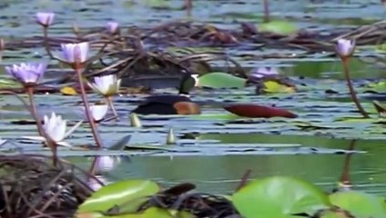 진주콜걸 ㅣㅣ ☎O1OE9914E7203 {카톡MOK8} 진주출장안마 진주출장샵 진주출장마사지 ▒ 진주출장오피 ▒ 진주출장홈타이 ▒ 진주출장아로마