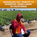 Mariachis Pay Tribute To Essential Farm Workers