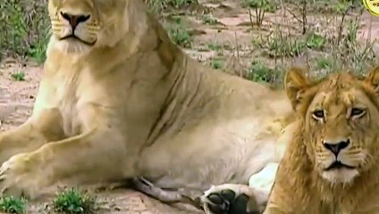 창원출장ㅁㅏ ㅅㅏ ㅈㅣ ▒후불제▒ 070p7722p8751 {카톡RQ43} ' 20대' 창원출장마사지럭셔리 출장@마사지 ♥◣≪