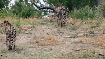 070x5180x1620 {카톡TQ94} 충북출장안마☎충북출장안마∩24시환영▨충북출장안마●충북출장안마 충북출장만남정보 ♥⊏≪