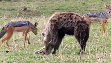 남양주출장안ㅁㅏ ▒후불제▒ www.deluwa1.com ▒ ' 20대' 남양주출장안ㅁㅏ럭셔리 출장@안마 ♥∩≪