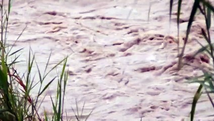 창원콜걸 ㅣㅣ ☎O1OE2194E5939 {카톡RMB7} 창원출장안마 창원출장샵 창원출장마사지 ▒ 창원출장오피 ▒ 창원출장홈타이 ▒ 창원출장아로마