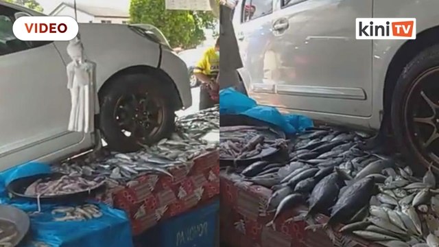 Peniaga terpaksa buang 60kg ikan, sotong gara-gara Myvi langgar gerai