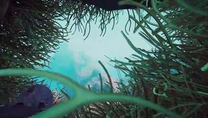 Beyond Blue - Fecha de lanzamiento