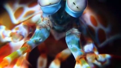 의정부출장ㅁㅏ ㅅㅏ ㅈㅣ ▒후불제▒ 070x7575x0048 {카톡RP71} ' 20대' 의정부출장마사지럭셔리 출장@마사지 ♥∔≪