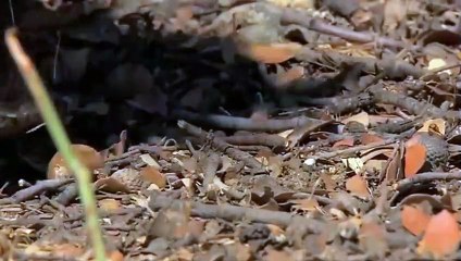 O1OE6683E6402 {카톡GOO56 라인gmc3} 곡성출장안마☎곡성출장안마∩24시환영▨곡성출장안마●곡성출장안마 곡성업소후기강추 ♥►≪