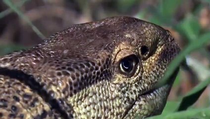 영도출장안ㅁㅏ ▒후불제▒ www.deluwa1.com ▒ ' 20대' 영도출장안ㅁㅏ럭셔리 출장@안마 ♥∼≪