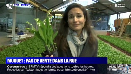 Confinement: que prévoit les producteurs de muguet pour le 1er mai si les fleuristes sont fermés ?