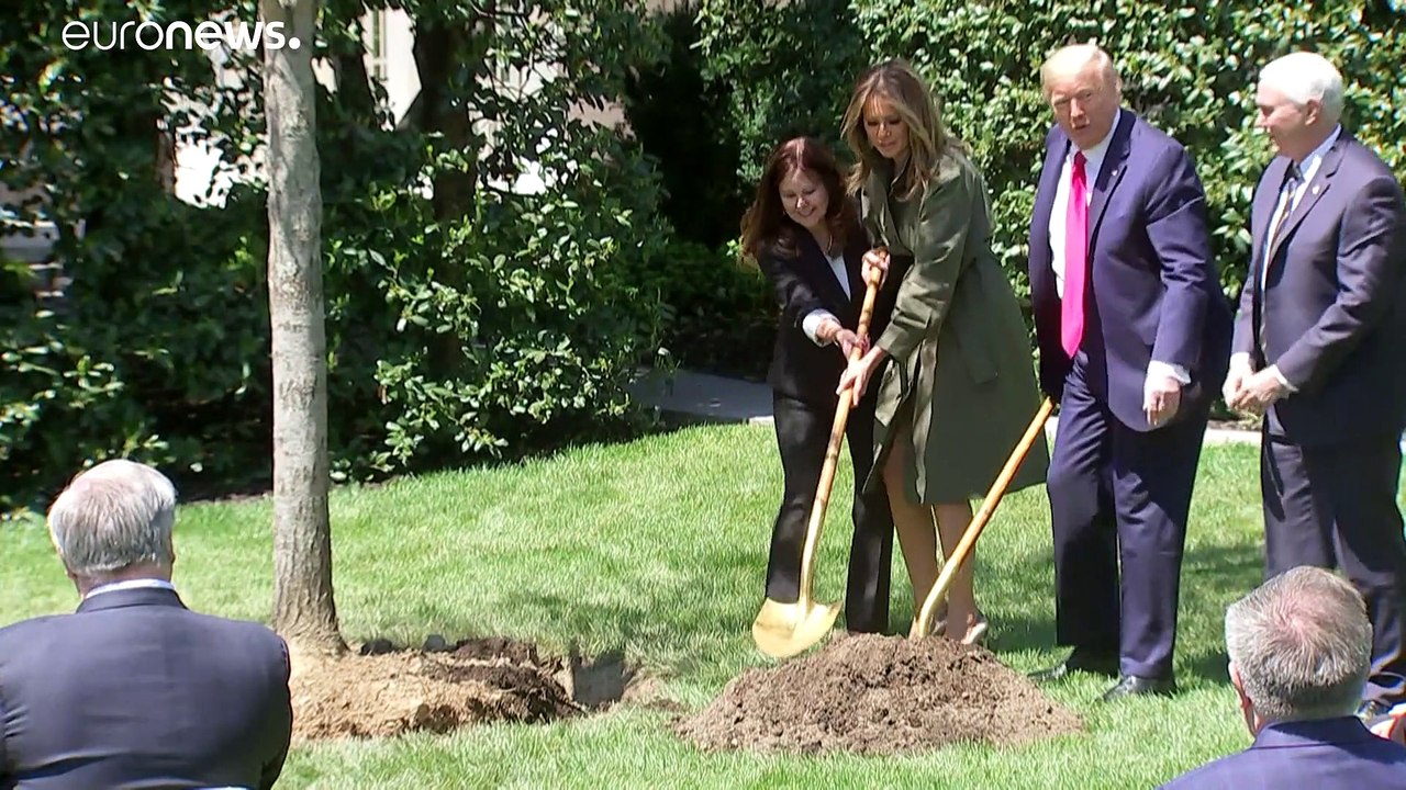 Trump zu Corona-Krise in den USA: 'Wir haben die Kurve abgeflacht'