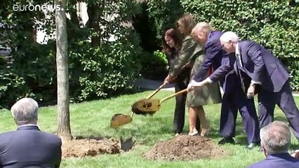 Trump fala em pico de casos de Covid-19 em locais críticos dos EUA