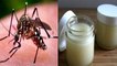 Dengue Malaria के मच्छरों को दूर बना देगी ये Cream, घर पर ऐसे बनाएं | Homemade Cream | Boldsky