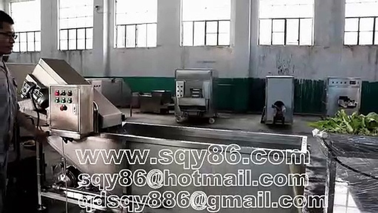 304 Stainless Steel Vegetable Bubble Washing Cleaning Machine