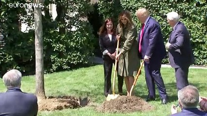 Trump asegura que descienden los contagios por cronavirus en EEUU