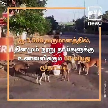 This 68-Year-Old Woman Feeds 100 Stray Gogs Even During Lockdown