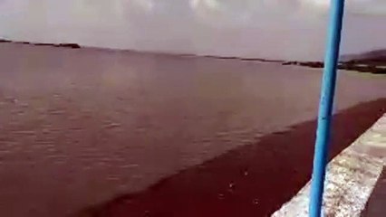 पांच लोग से जीती कोरोना से जंग