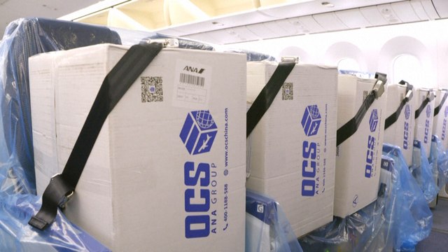 Airlines load seats with medical supplies from China, but gridlock sends other jets home empty