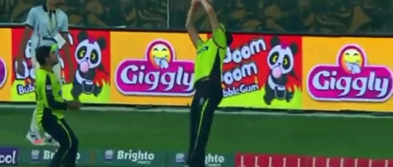 Top 10 Best Catches in Cricket Best catches in Cricket