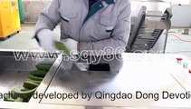 2020 New Type of Self-feeding Raw Green Plantain Banana Skin Peeling Machine