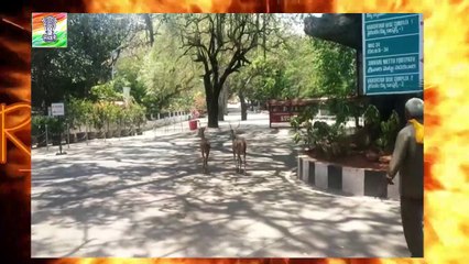 पहले हम Zoo देखने जाते थे और अब Zoo हमे देखने आ रहा है ।