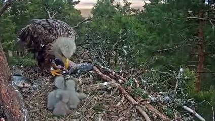 동남콜걸 ㅣㅣ ☎070x5180x1620 {카톡TQ94} 동남출장안마 동남출장샵 동남출장마사지 ▒ 동남출장오피 ▒ 동남출장홈타이 ▒ 동남출장아로마