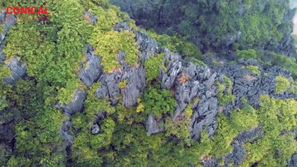 Ninh Binh Tour - Amazing Ninh Binh From Above