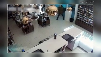 La police diffuse la vidéo d'un homme en train de voler un Van Gogh dans un musée autrichien (Vidéo)