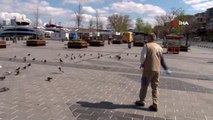 Üsküdar Belediyesi'ne bağlı ekipler, kuşları ve sokak hayvanlarını elleriyle besledi