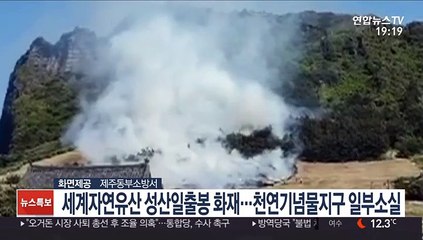세계자연유산 성산일출봉 화재…천연기념물 지구 일부 소실